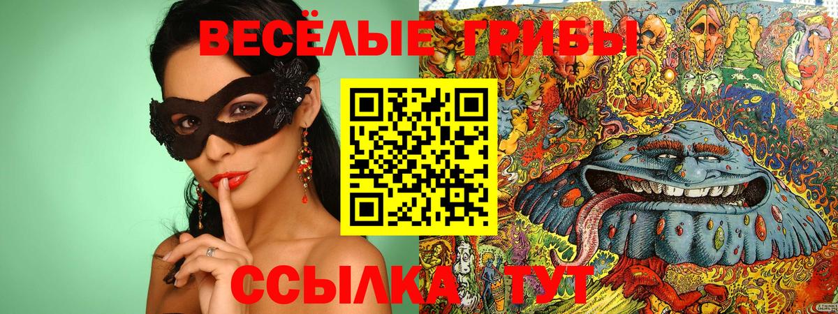 Псилоцибиновые грибы мицелий Реутов
